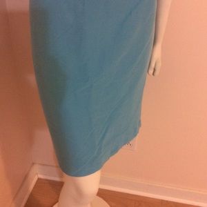 Talbots blue skirt